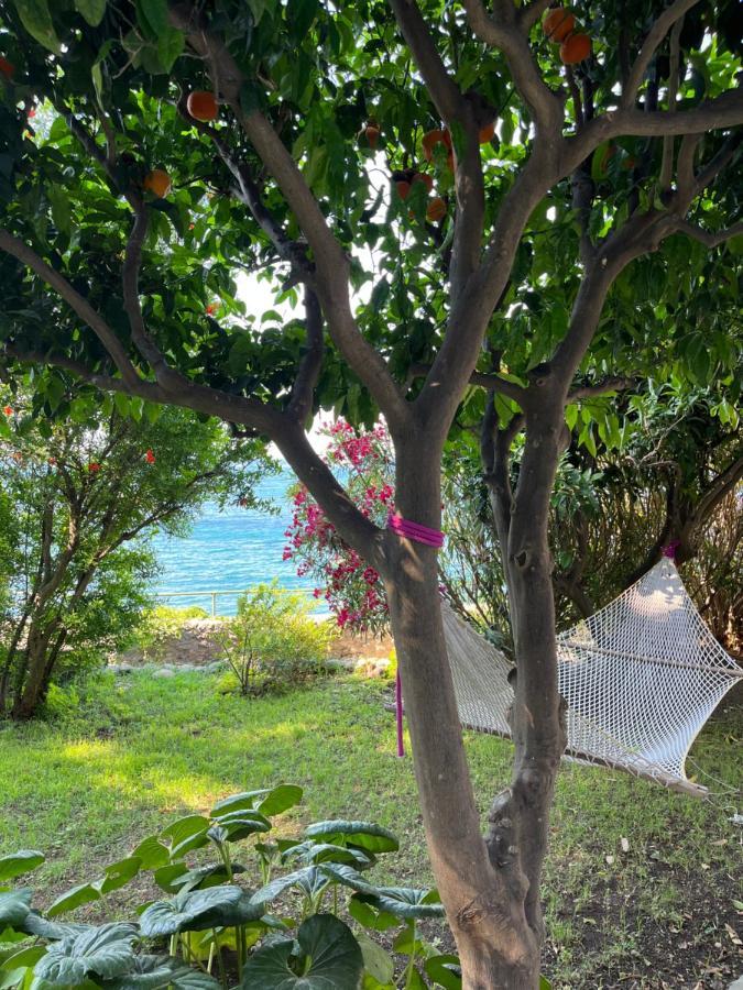 Nelinda Waterfront Accommodation Casamicciola Terme Buitenkant foto